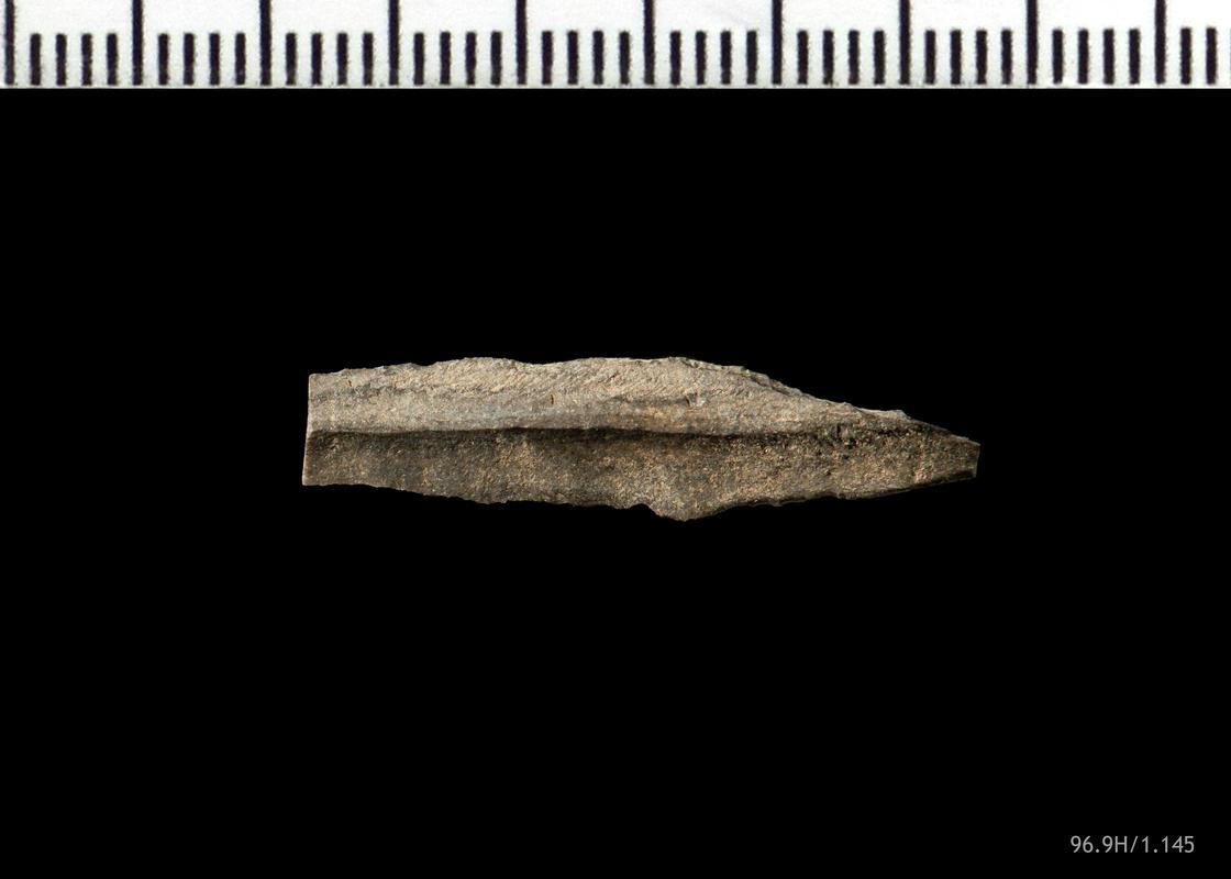 Mesolithic chert microlith