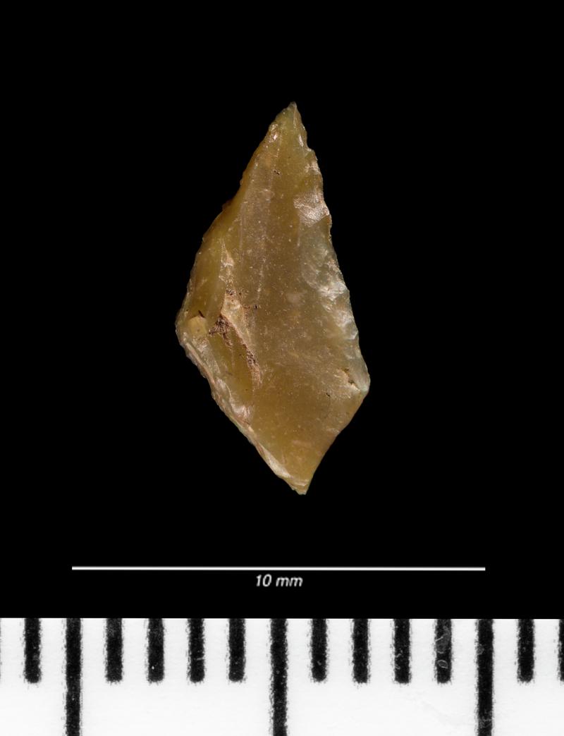 Mesolithic flint microlith