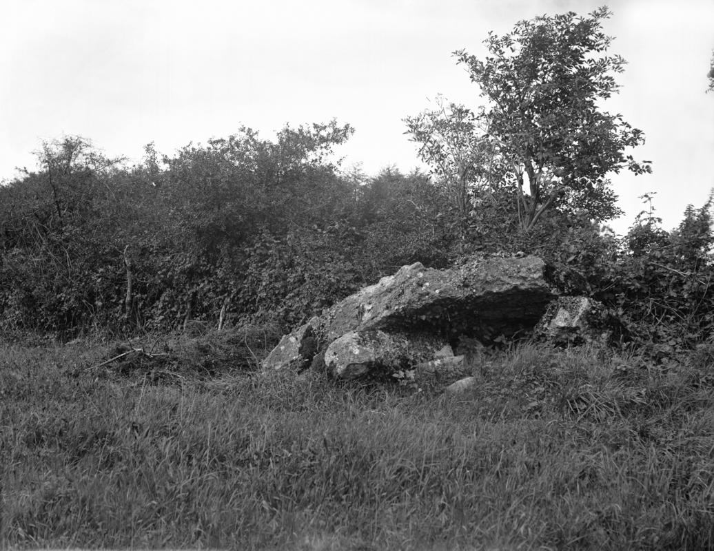 Photographic Negative