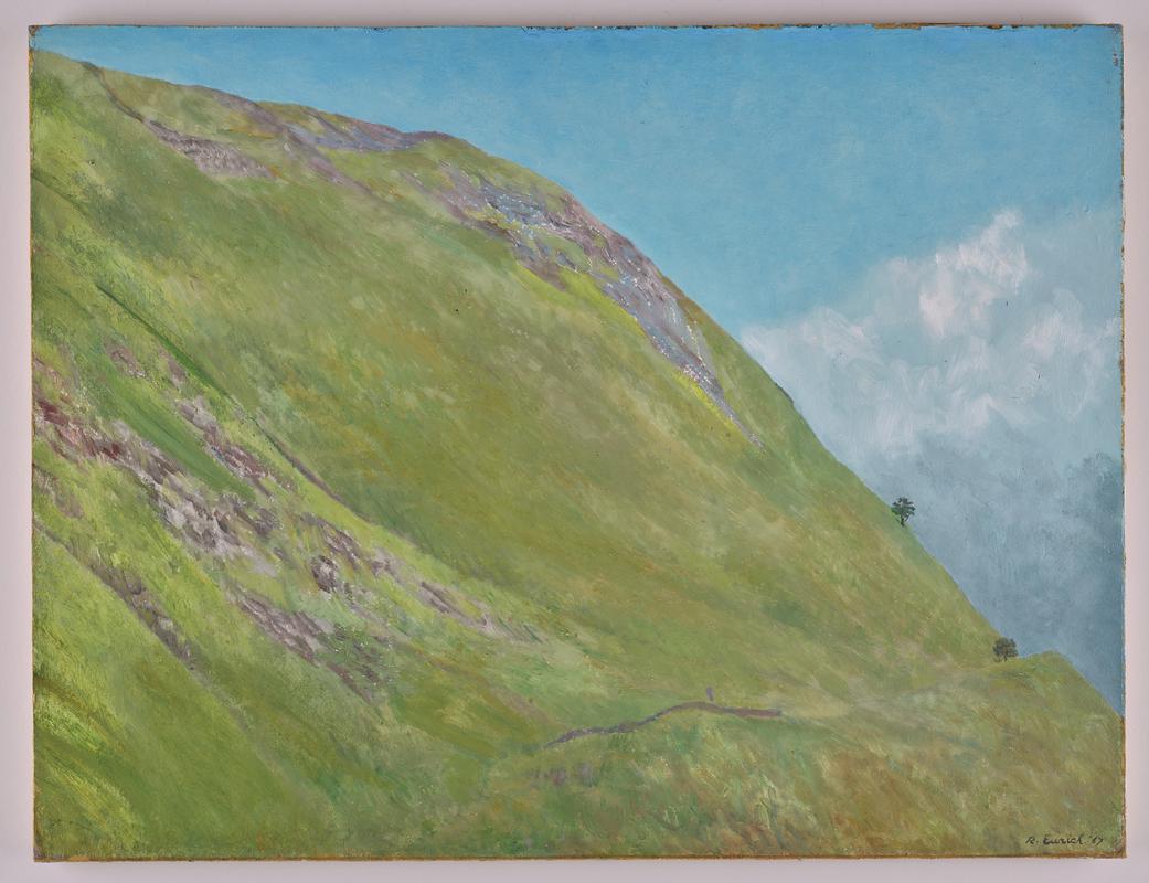 Hillside in Wales (1967)