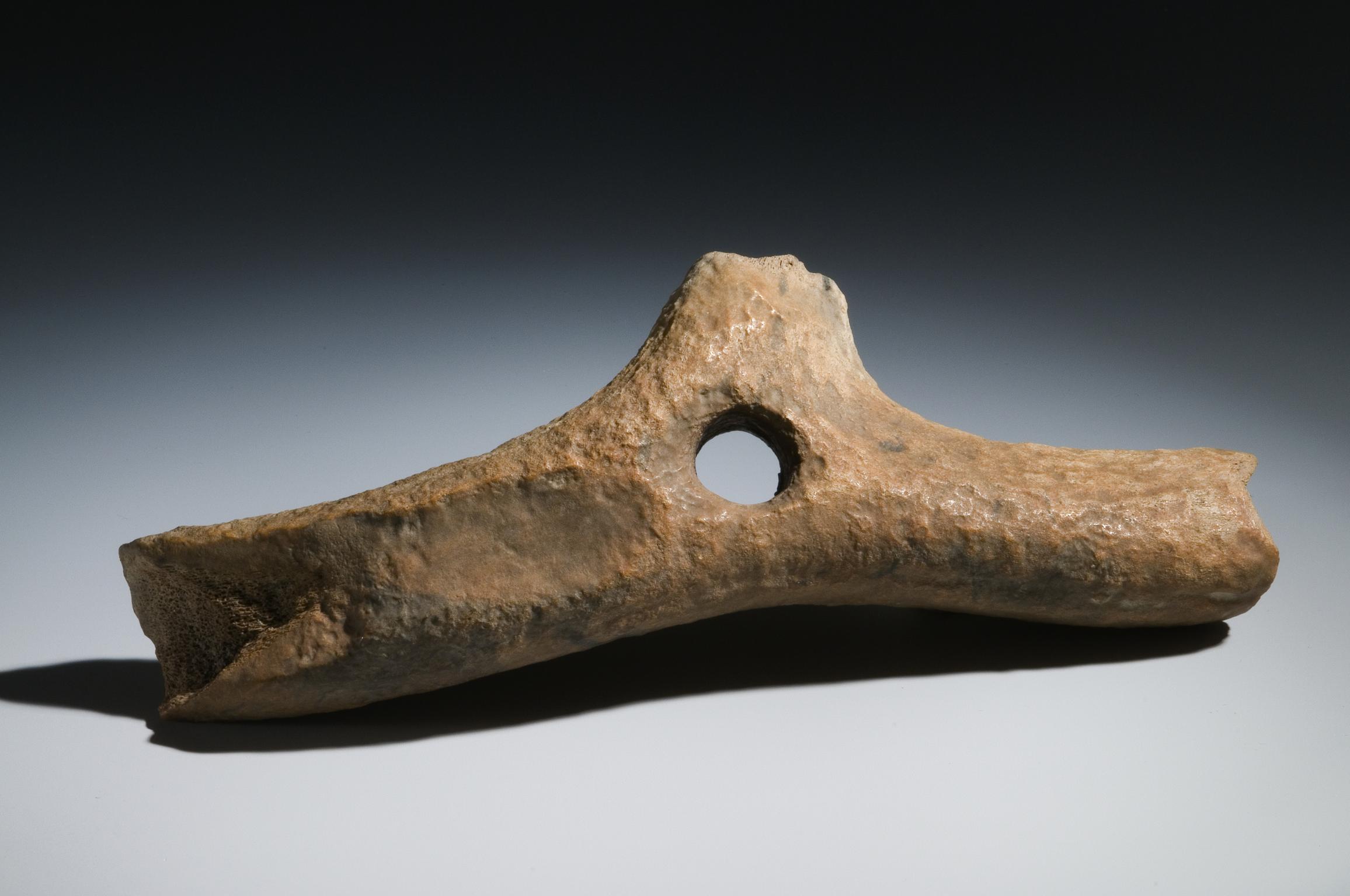 Mesolithic antler mattock