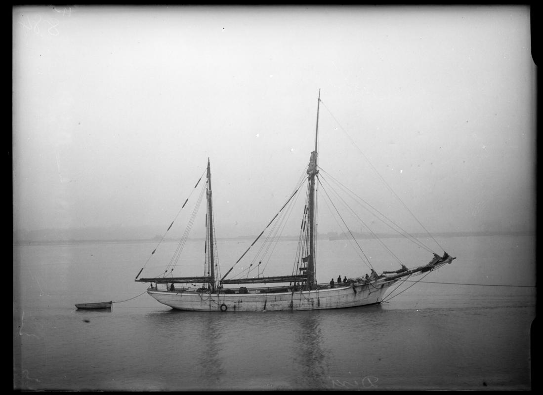 DIXI, glass negative