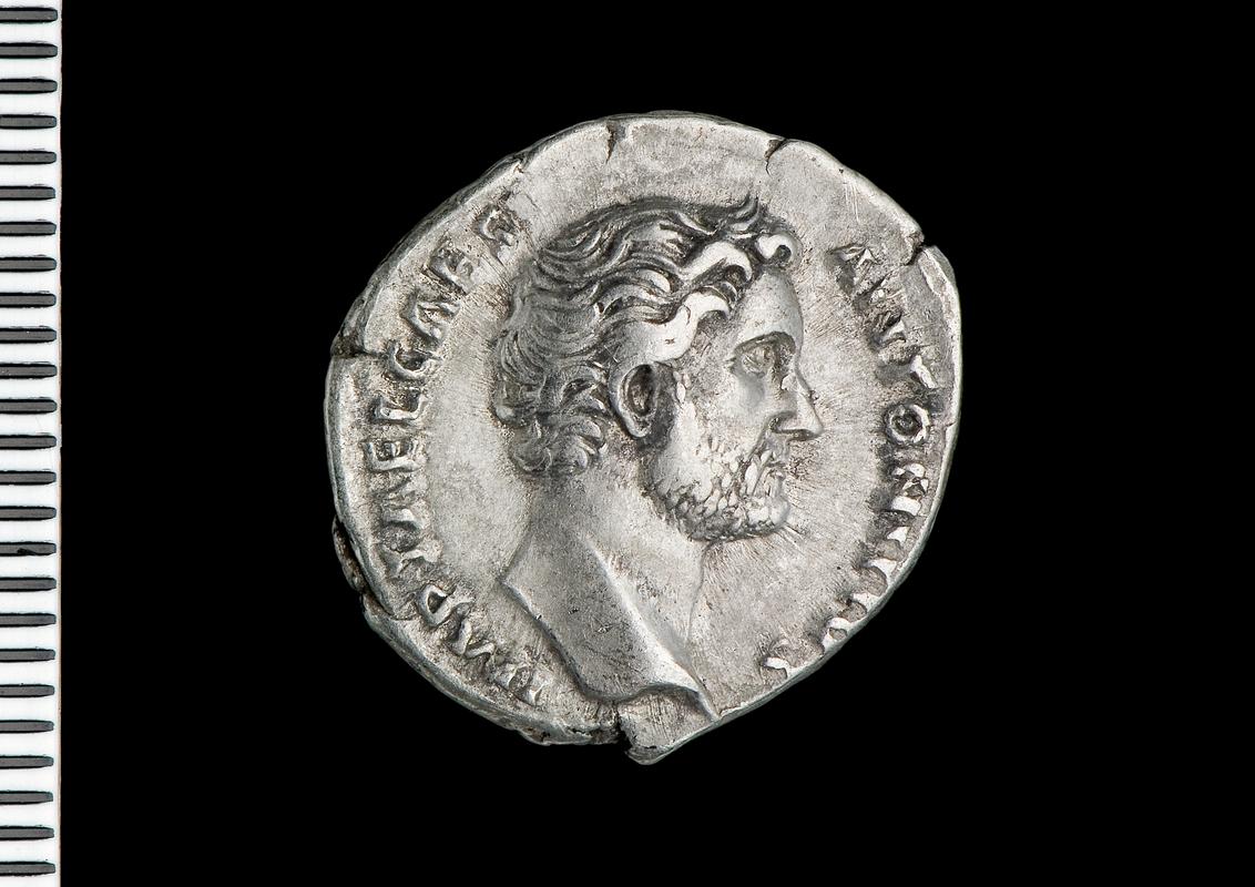 silver denarius (obv.)