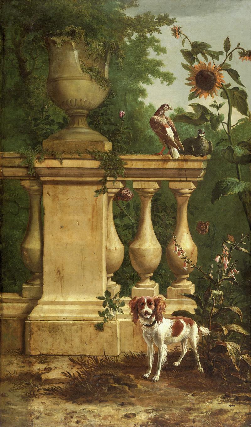 Pigeons and a dog in a garden