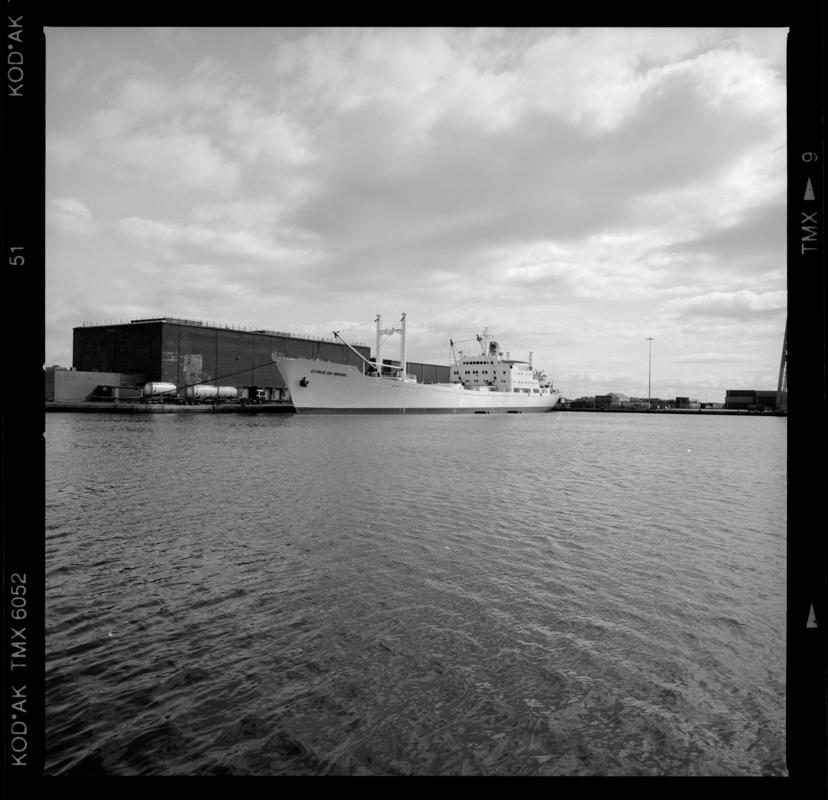 M.V. CITRUS DO BRASIL, negative