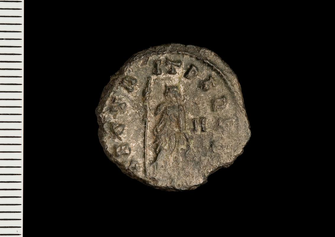 Llys Awel Roman coins