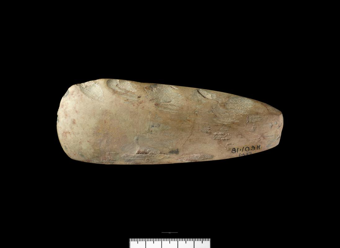 Neolithic stone axehead roughout