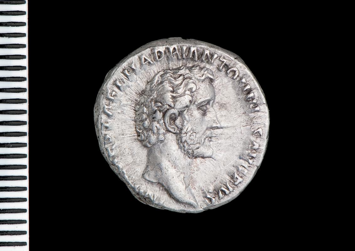 silver denarius (obv.)