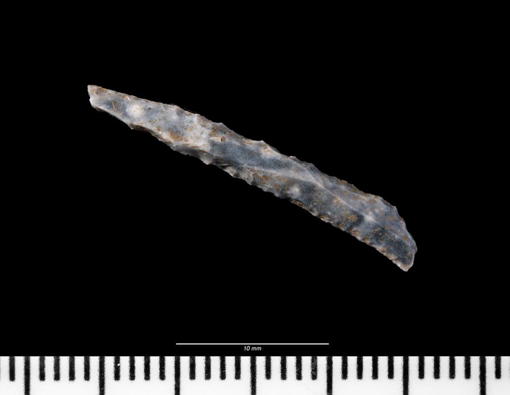 Mesolithic flint microlith