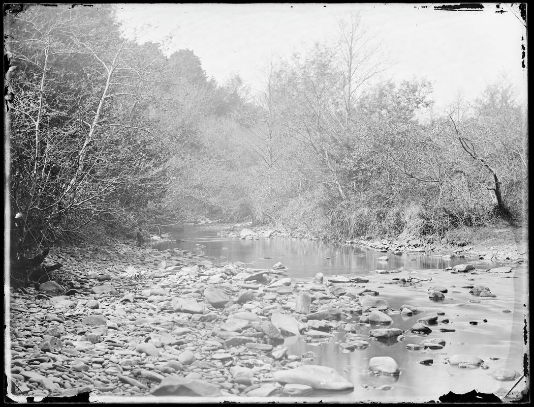 The Ely at Lanely (glass negative)