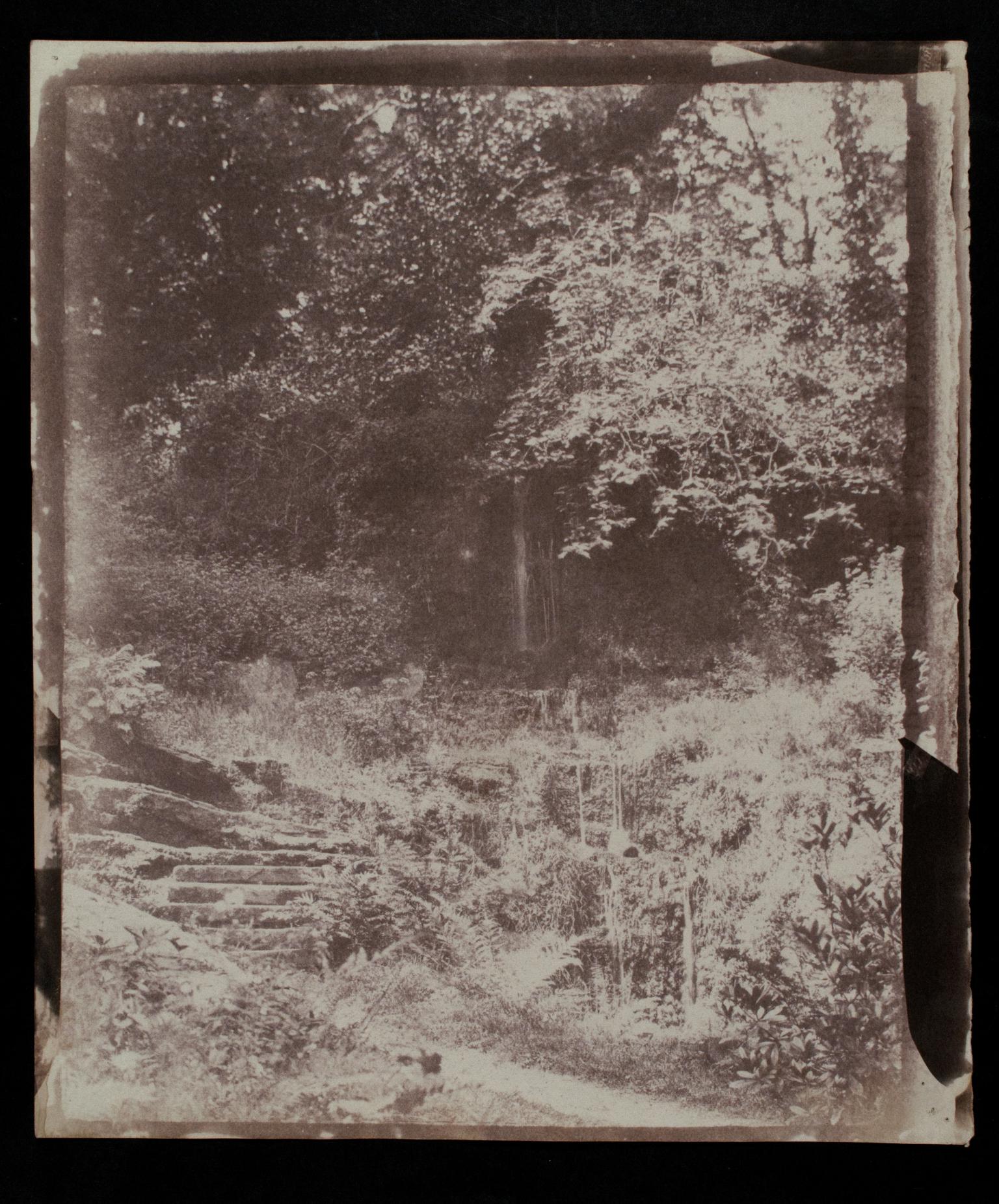 Penllergare, steps in valley, photograph