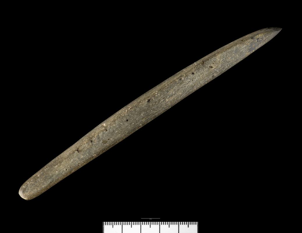 Early Bronze Age siltstone burnisher