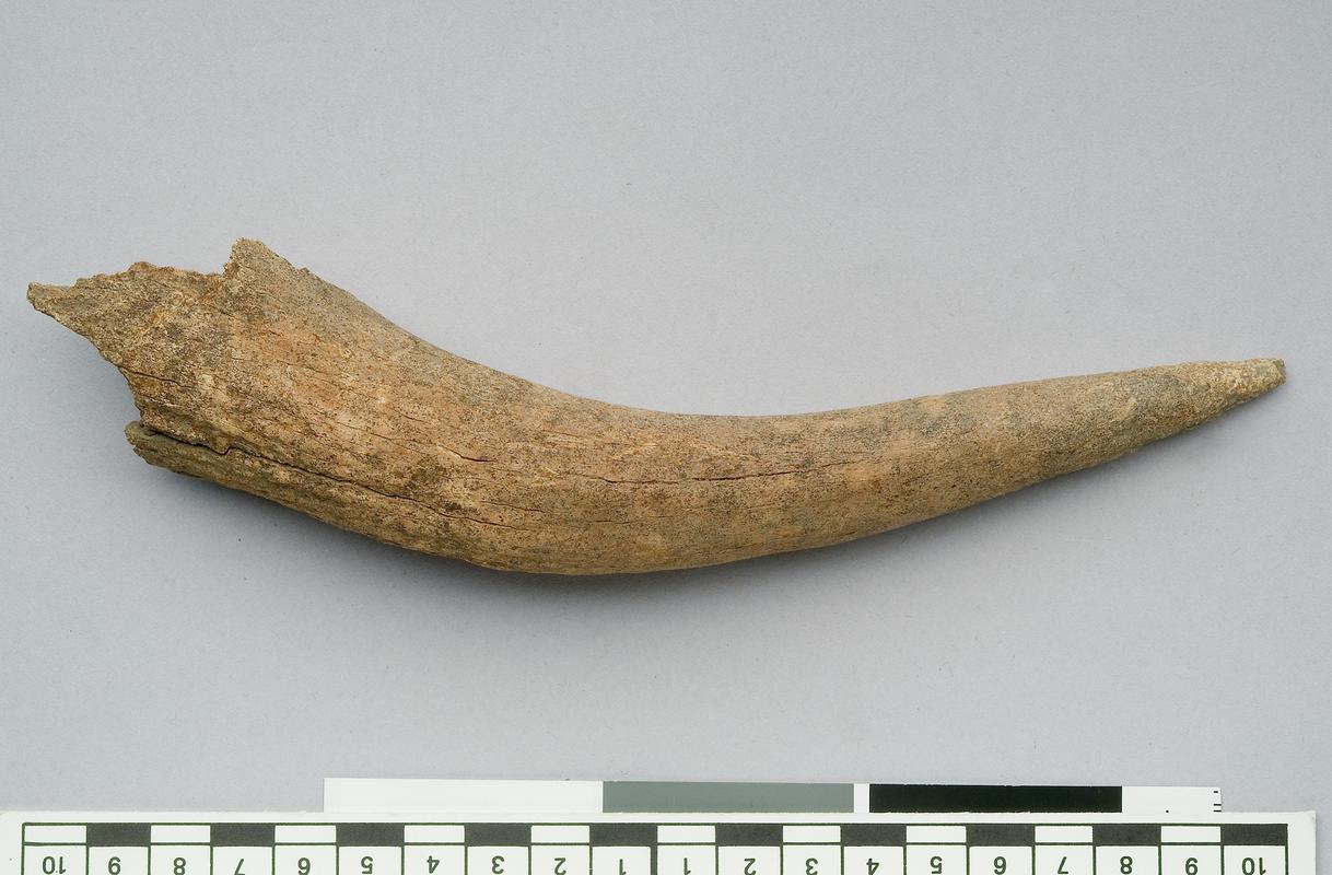 Prehistoric antler object