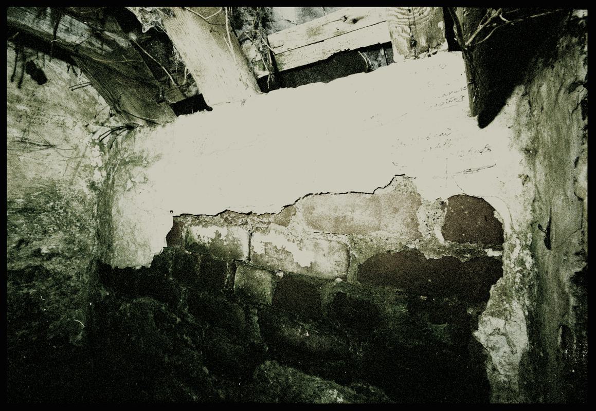 Graffitied tŷ bach in a garden in Trefin, negative