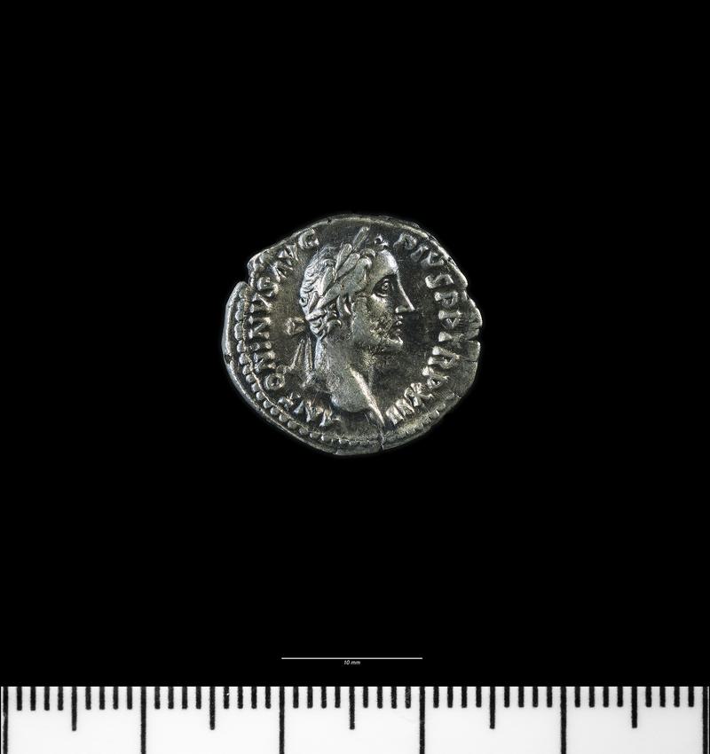 Caerleon Prysg Field coin hoard