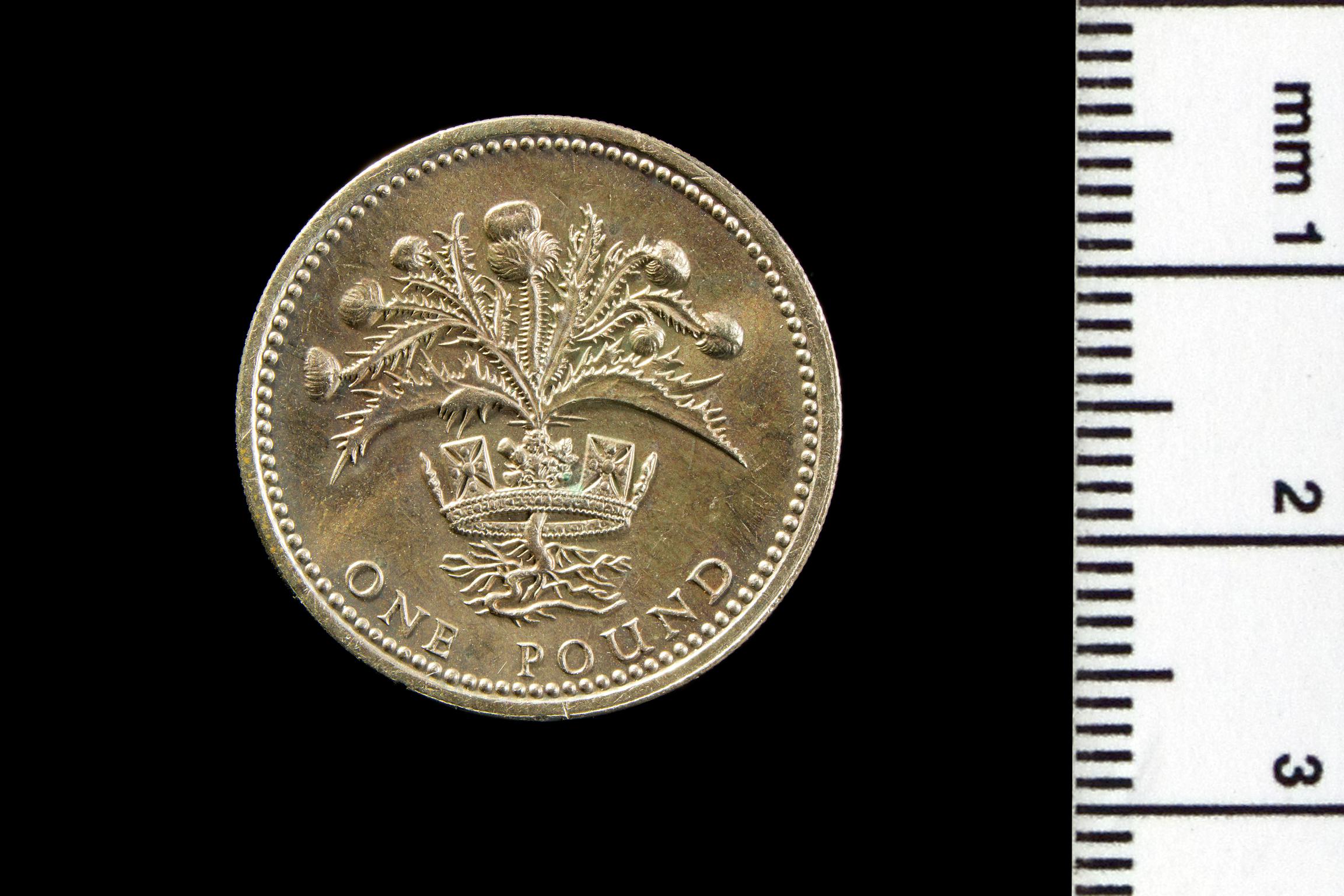 Elizabeth II pound (Scottish type)
