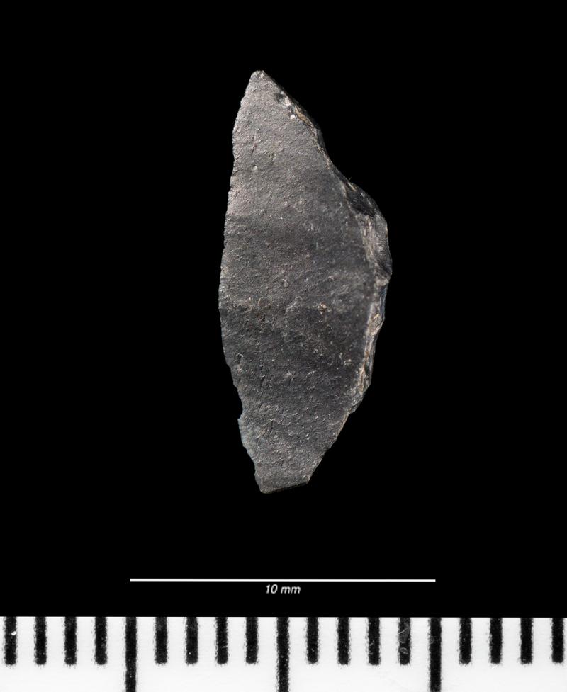 Mesolithic chert microlith