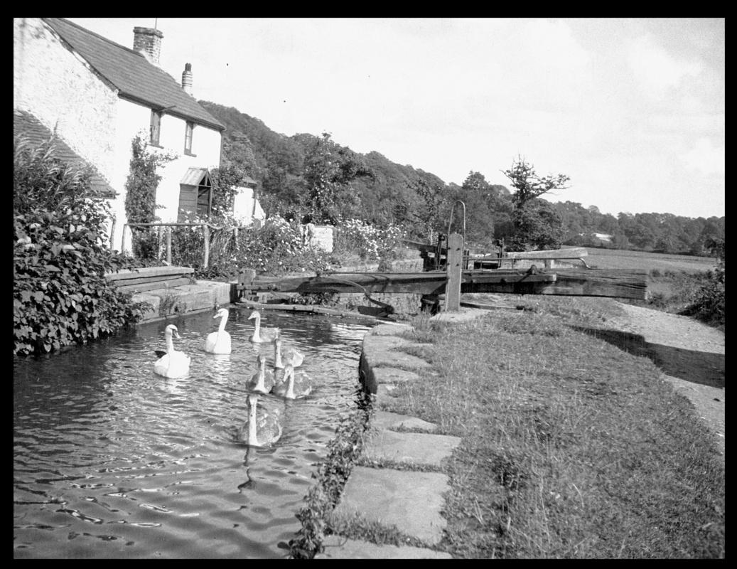 Glamorganshire Canal, negative