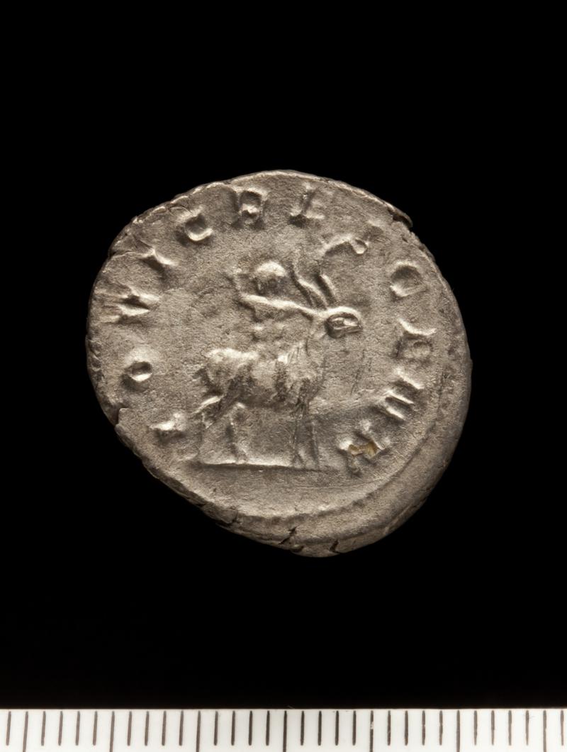 Sully Hoard I (1899)