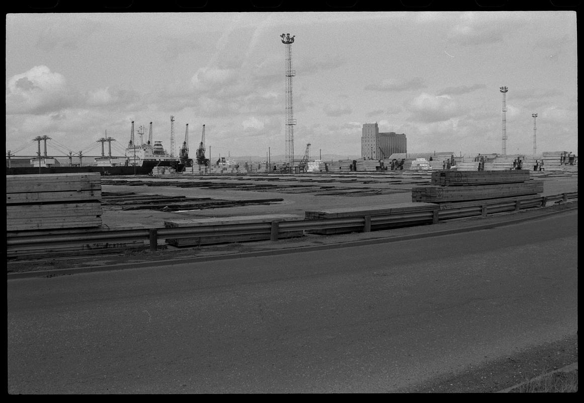 Timber on land alongside Queen Alexandra Dock, on east side.