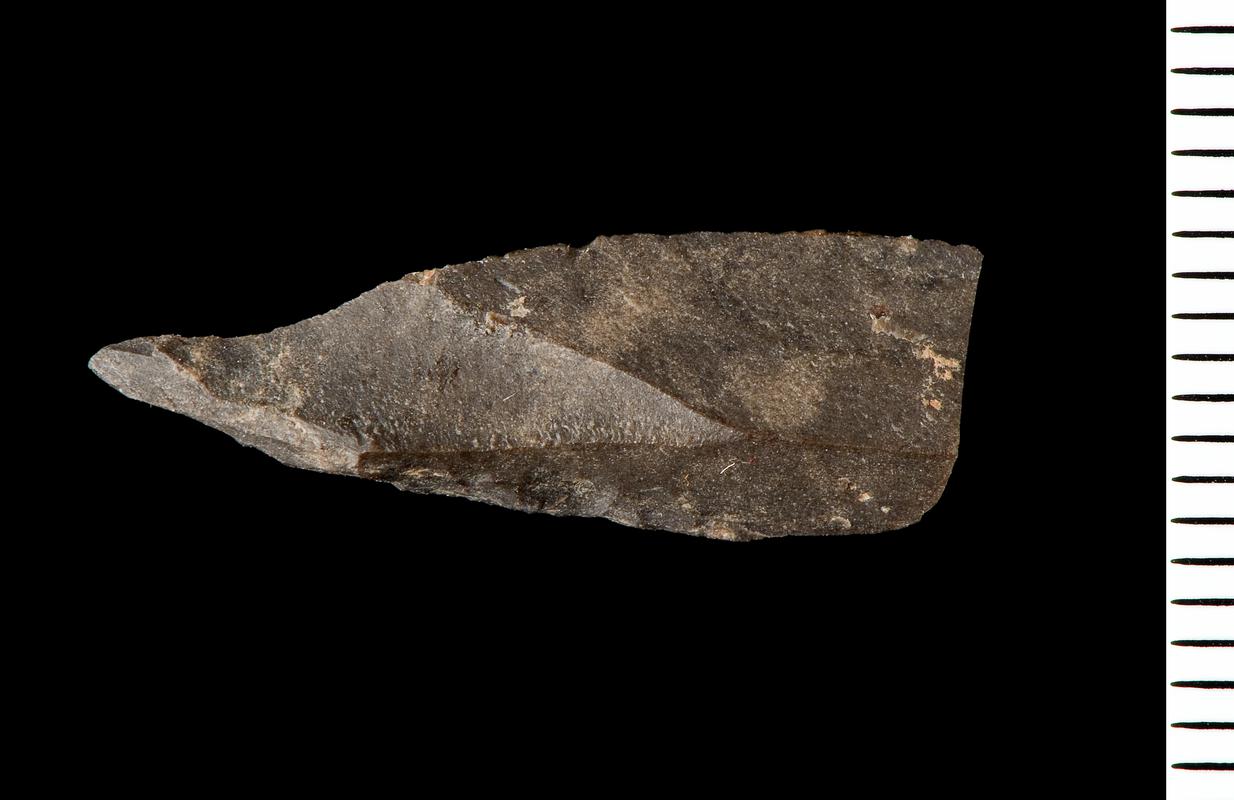 Late Mesolithic chert microlith