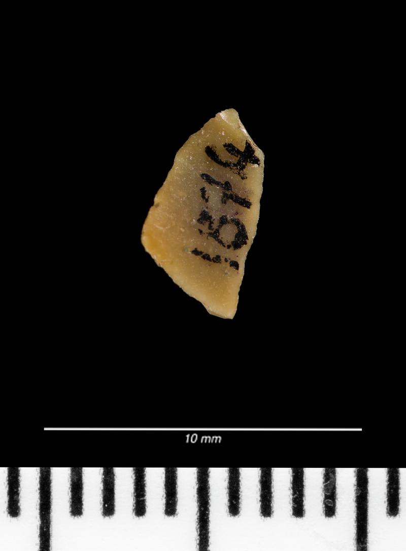 Mesolithic flint microlith