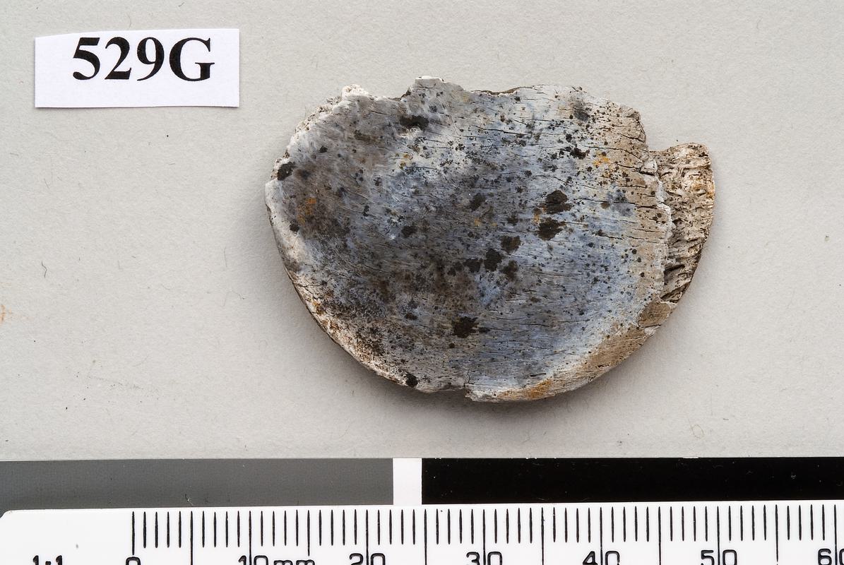 Medieval bone counter