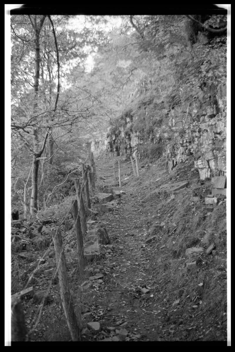 Bryn Oer tramroad, film negative