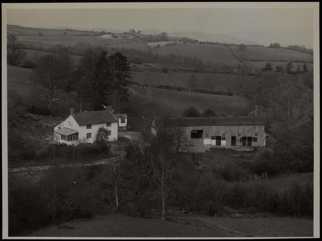Photograph (print)