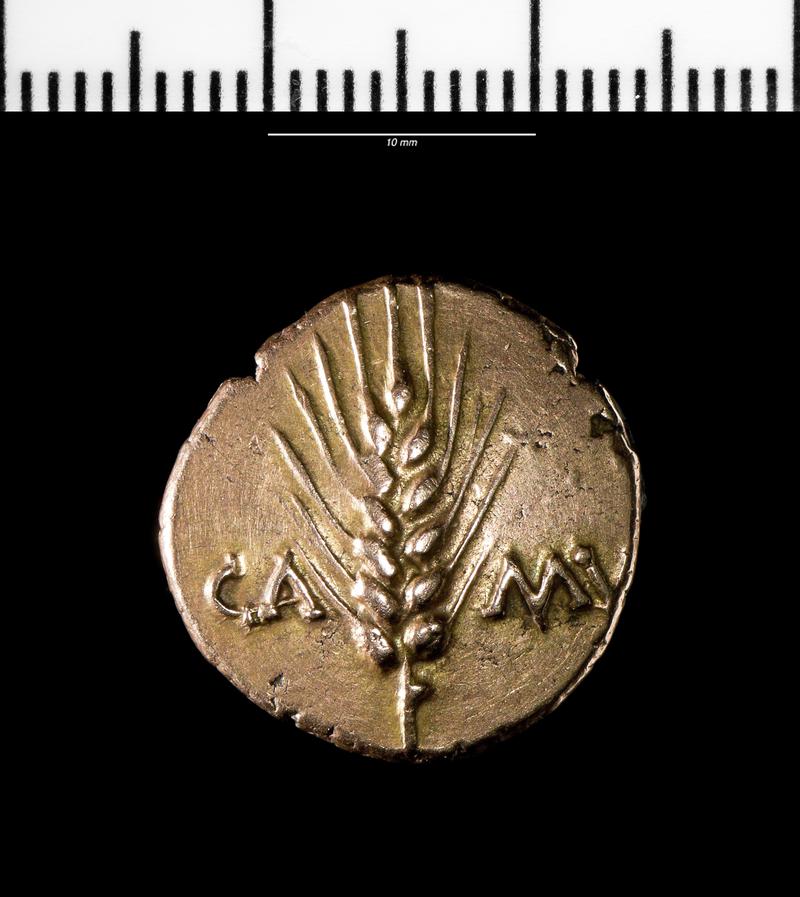 Celtic stater (Trinovantes)