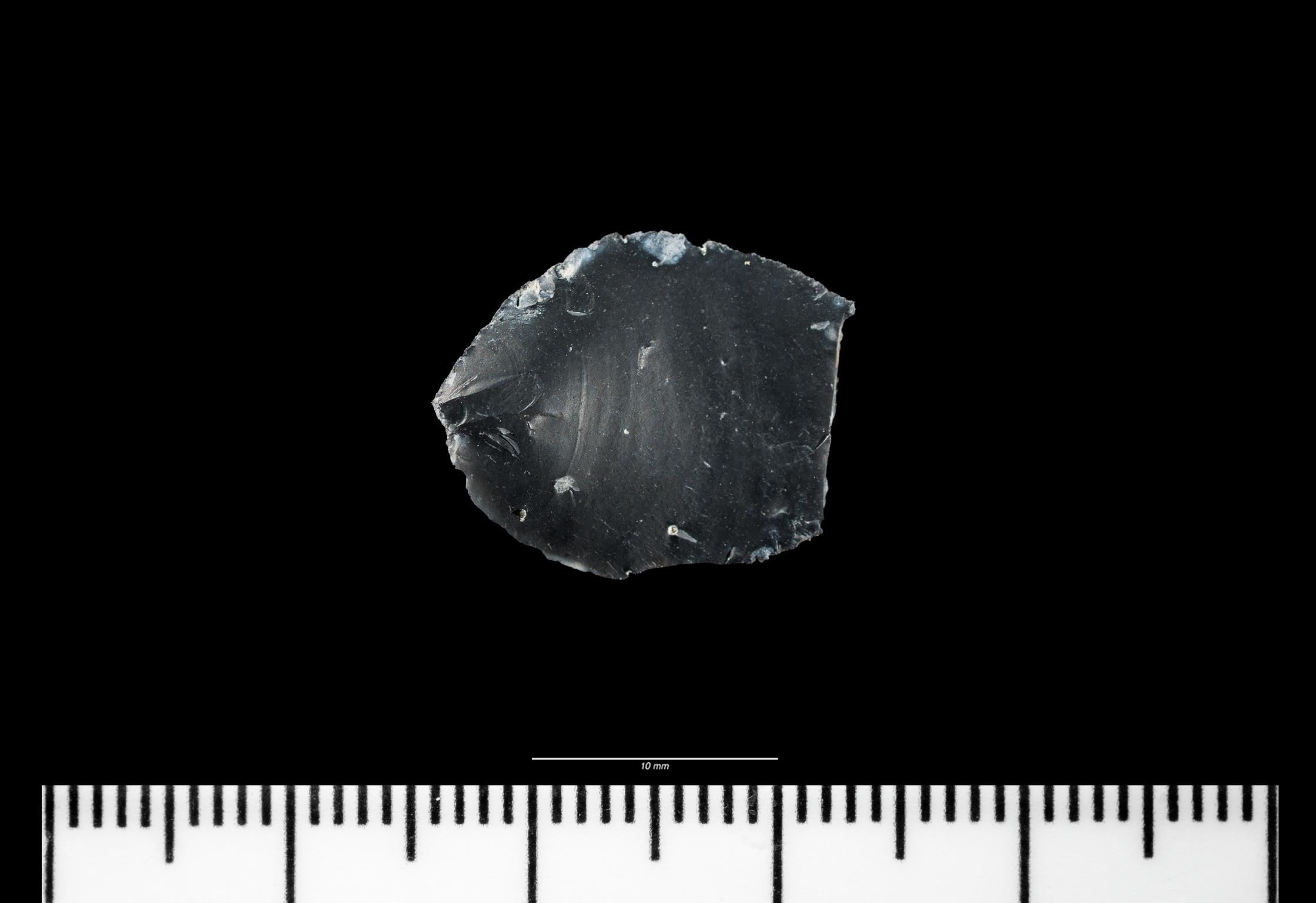 Mesolithic flint flake