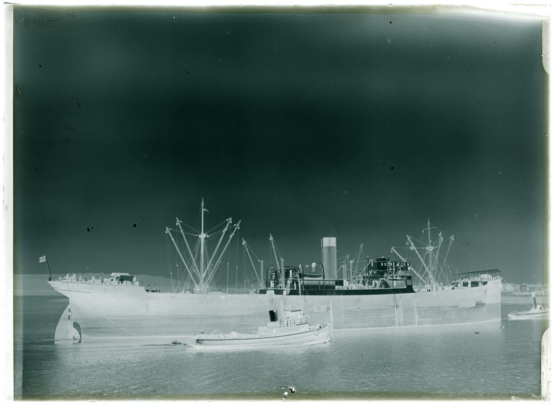 S.S. DURMITOR, glass negative