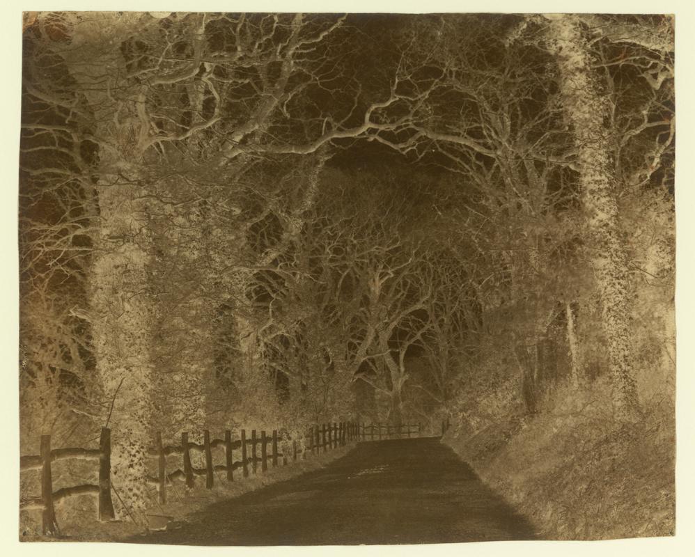 Penllergare, drive, negative