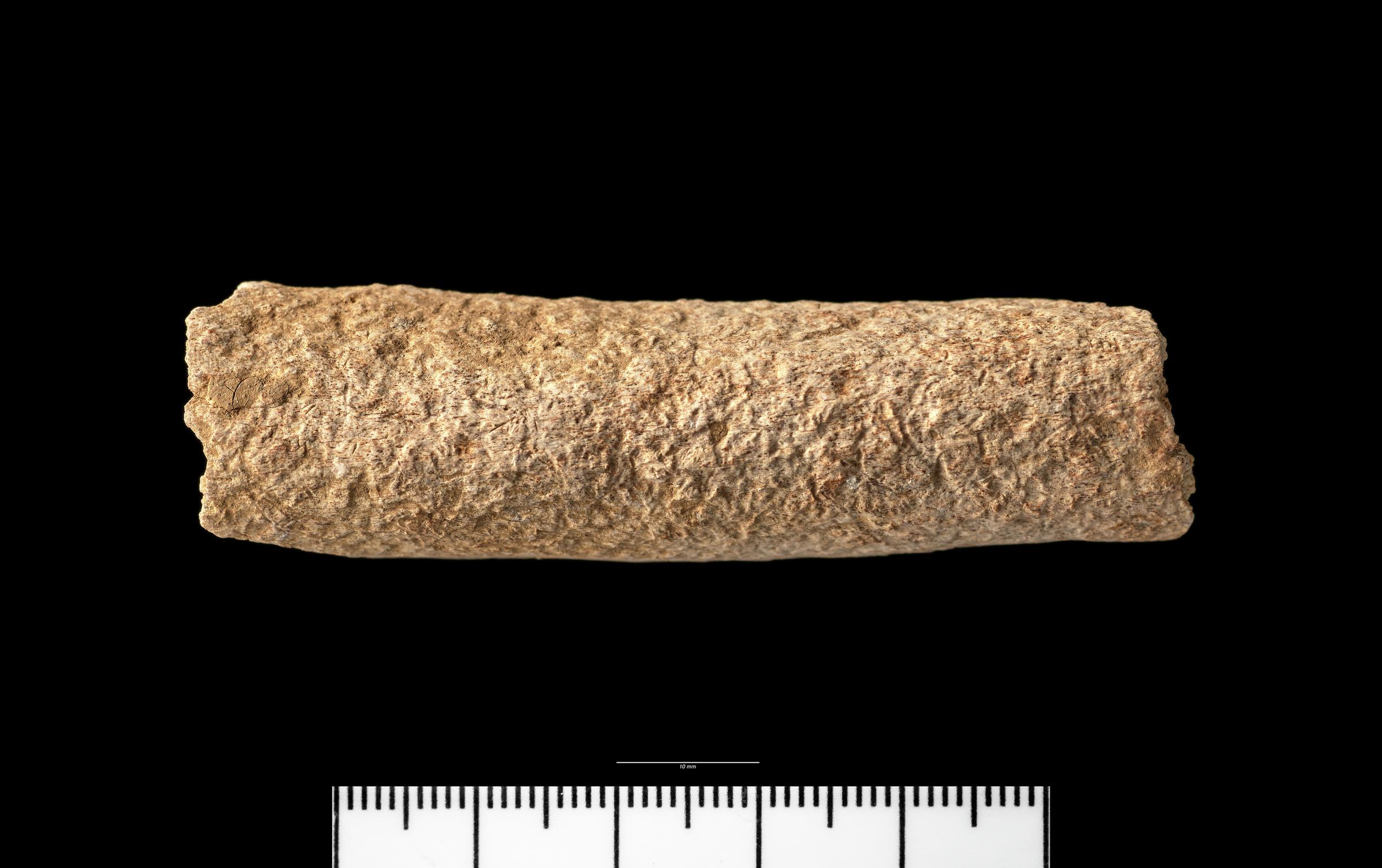 Iron Age human bone