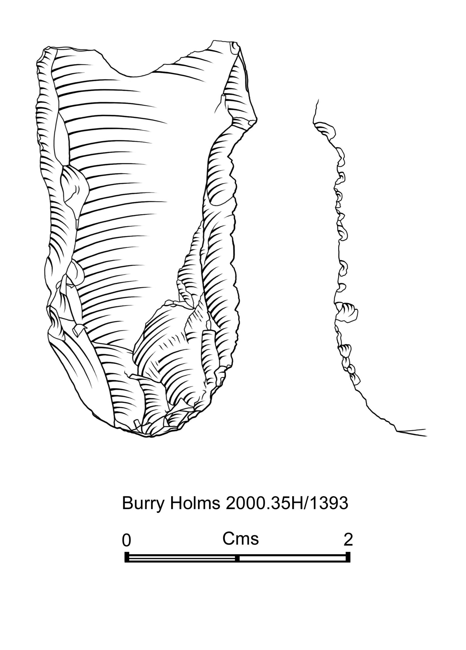 Early Mesolithic flint microdenticulate