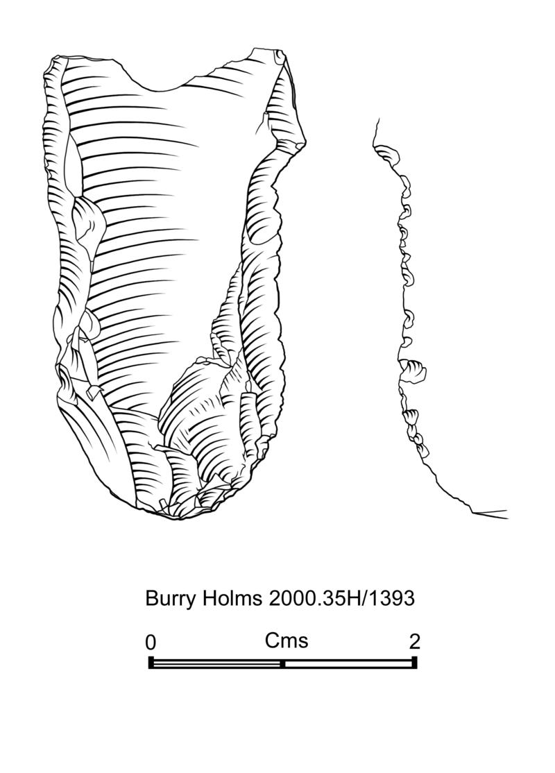 Early Mesolithic flint microdenticulate