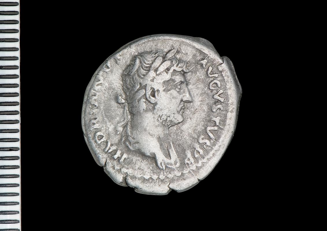 silver denarius (obv.)