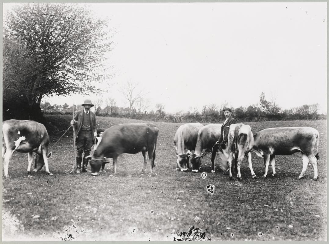 Photograph (print)