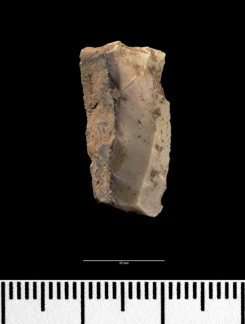 Mesolithic truncated blade (dorsal surface)