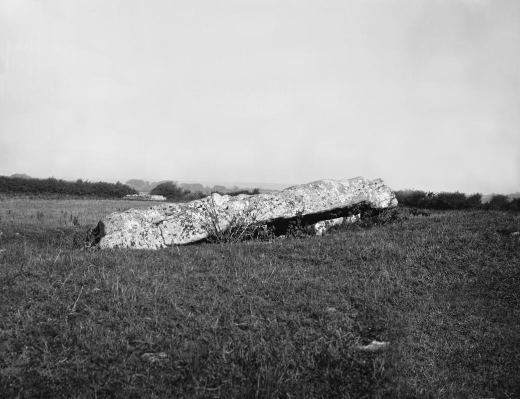 Photographic Negative