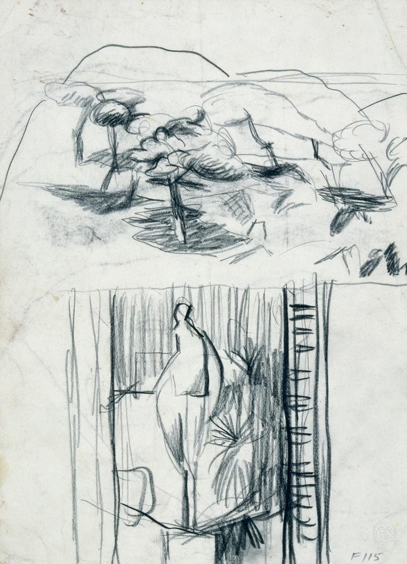 Trees and boulders in a landscape