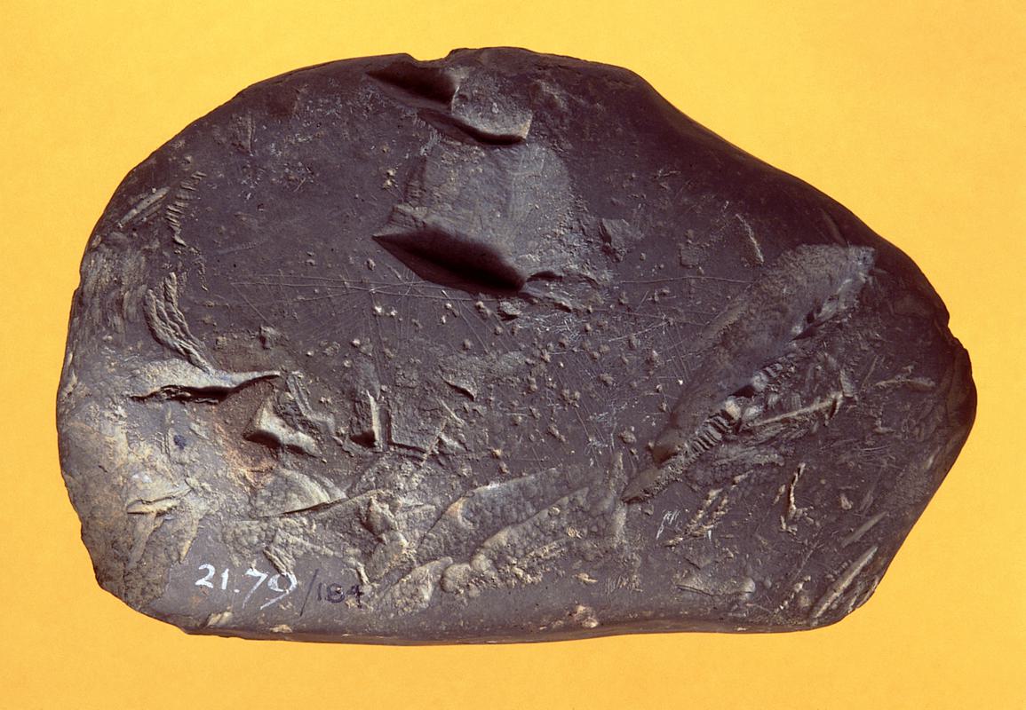 Neolithic stone incised pebble