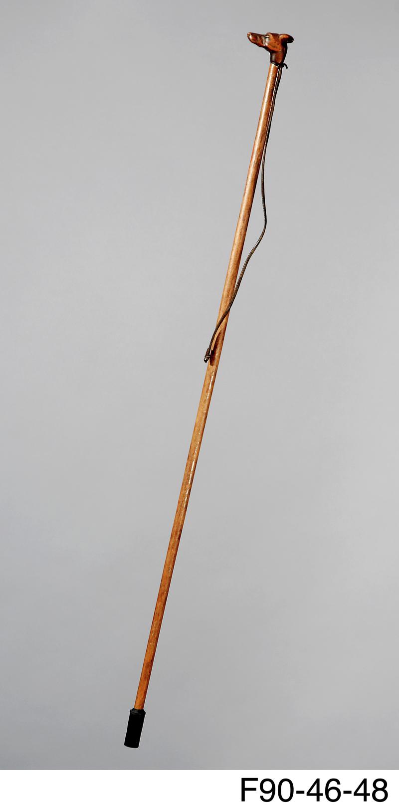 Walking stick