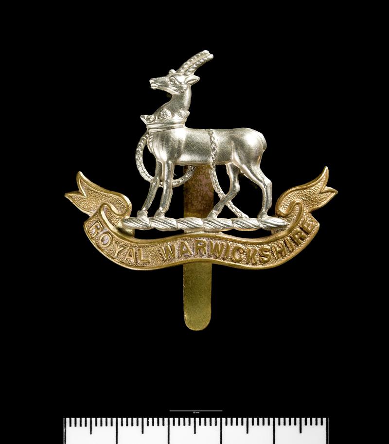 Badge; Regimental