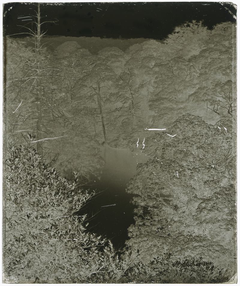 Penllergare, upper lake, glass negative