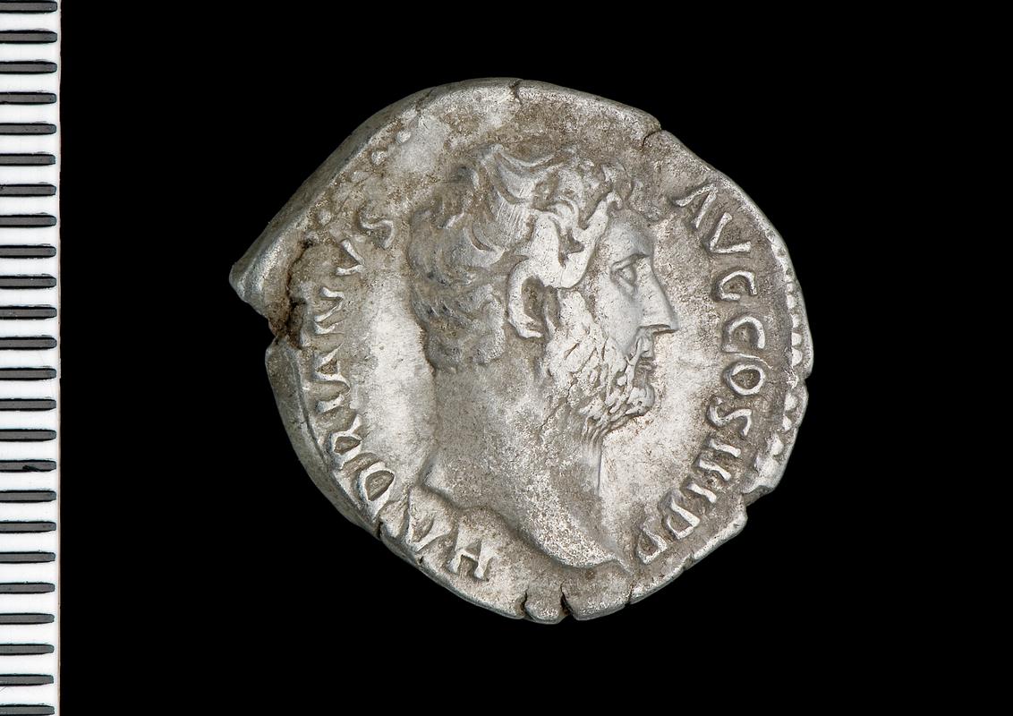 silver denarius (obv.)