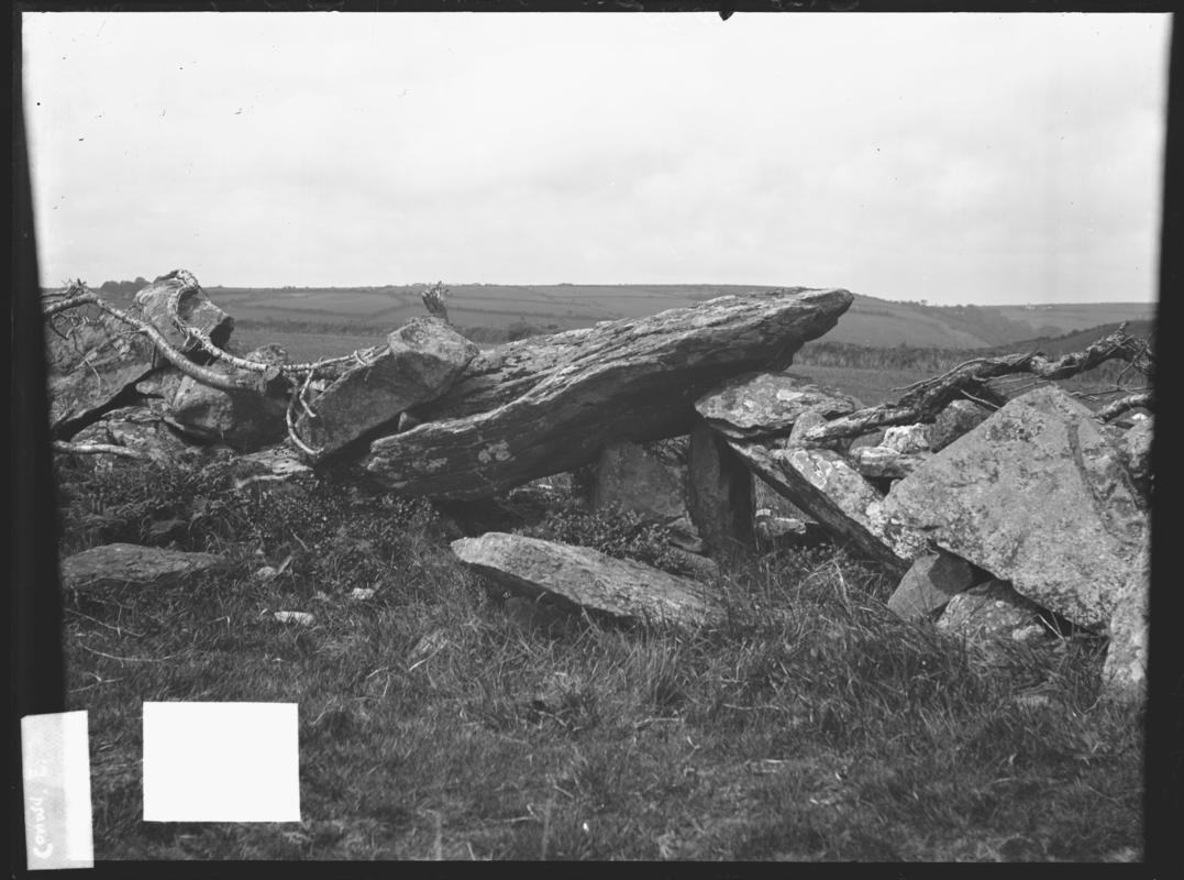 Glass plate negative; Conwil