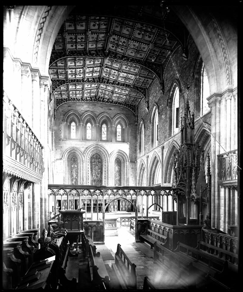 Photographic Negative