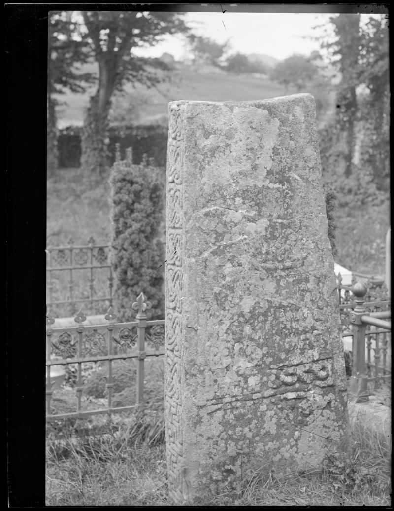 Photographic Negative