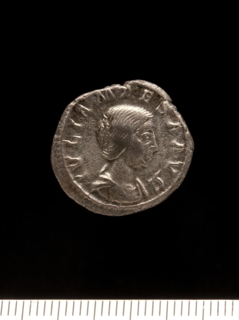 Sully Hoard I (1899) Denarius Julia Maesa